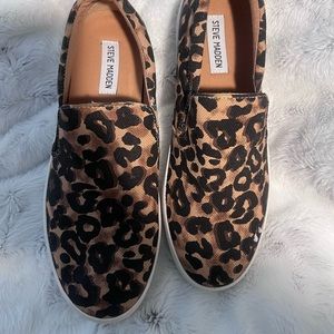 Steve Madden. Leopard Print canvas shoes